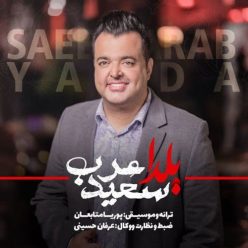 دانلود آهنگ سعید عرب یلدا با کیفیت 320